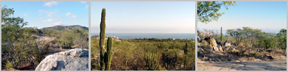 Buildable lot, $40,000. Pacific side, North of Cabo San Lucas